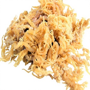 Algues blanches Eucheuma Cottonii Anna - Product Image 1