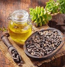 Organic 100% Pure Castor <b>Oil</b> Cold Pressed Seed <b>Essential</b> <b>Oil</b> Yellow for Cosmetic Hair and Skin Care All Skin Types - Product Image 2