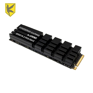 KINGSMAN Internal SSD NVMe M.2 4TB PCIe Gen5x4 with Heatsink for <b>Gaming</b> PC and Workstation - Product Image 1