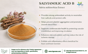 Approvisionnement direct d'usine HGO d'extrait de salvia miltiorrhiza naturel pur (qualité alimentaire santé) spécification acide salvianolique B 65% - Product Image 2