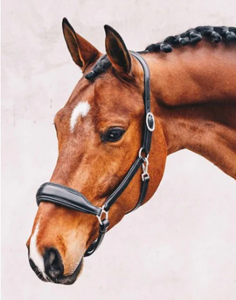 Top Quality Equipment Italian Leather Fancy Horse Halter Horse Riding <b>Equestrian</b> with Soft Calf Skin Inner Padding Noseband - Product Image 6