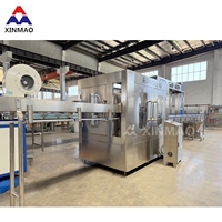 Machine de remplissage et de bouchage entièrement automatique 3-en-1 6000 BPH avec système de filtration d'eau pure minérale