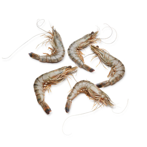 Gambas Reales Congeladas de Primera Calidad, Listas para Enviar, Grado Alimenticio, Suministro a Granel, Fabricante de Exportación de Alta Calidad - Product Image 3