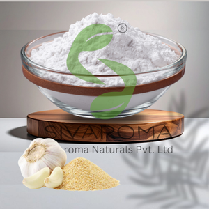 Extracto Seco de Ajo en Polvo para Suministro B2B en la Industria Alimentaria, Formulaciones Culinarias y Desarrollo de Productos Comerciales - Product Image 2