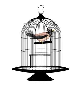 Jaula moderna para loros, pinzones, agapornis, con soporte para hueso de sepia, sepia - Product Image 3