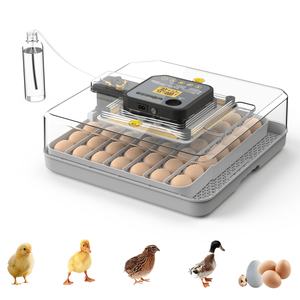 Incubatrice Automatica per 48 Uova di Gallina, Anatra, Quaglia e Pappagallo con Materiali PC e PP di Alta Qualità, Controllo del Giro Uova e dell'Umidità - Product Image 1