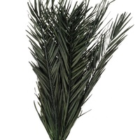 Feuilles de dattes séchées naturelles, décoration murale écologique pour la maison, pour la Saint-Valentin et la fête des mères