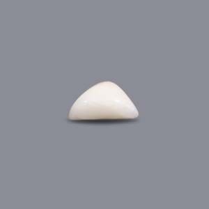 Natural White Coral Lot 14.05 Carat Certified Wholesale Gemstone - Product Image 3