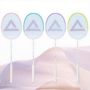 Raquette de badminton en fibre de carbone de haute qualité, modèle Cabr01, 66*24cm, type de contrôle de balle, emballage standard, pour l'extérieur - Vente chaude - Product Image 2