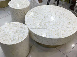 งานฝีมือลายสัตว์ฝังมุกเรซิ่น ภาพวาดเรซิ่นสั่งทำพิเศษ เฟอร์นิเจอร์ห้องนั่งเล่นโมเสกเปลือกหอยหรูหราสไตล์อินเดีย - Product Image 2