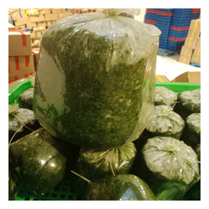 ใบมันสำปะหลังแช่แข็งคุณภาพสูงสำหรับอาหารพื้นเมืองและช่องทางการจัดจำหน่ายอาหาร - Product Image 1