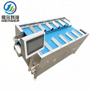 Durian Product Customized Packaging Machine Efficient Packaging Combination Weigher