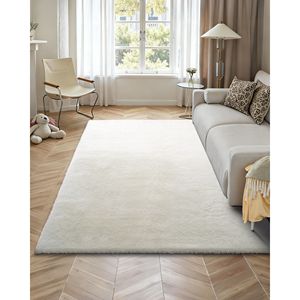 Tapis d'intérieur moderne 8 x 10 pieds en peluche, tapis moelleux et duveteux pour salon, chambre et véranda - Product Image 4