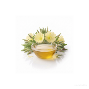 Huile d'onagre en vrac – Ingrédient botanique pour formules de soins de la peau, produits capillaires et fabrication de produits de soins personnels - Product Image 4