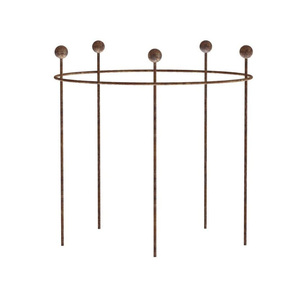 Round Shaped Metal Plant Support Stake - Product Image 1