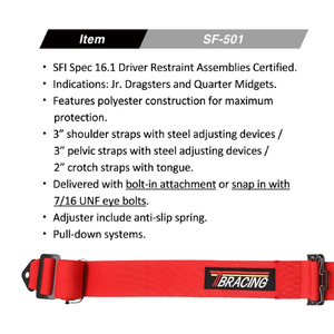 Custom Color TBRACING SF-501 5 Point Racing Harness SFI 16 1 Certified <b>Driver</b> Restraint Taiwan Factory OEM ODM Wholesale Supply - Product Image 6