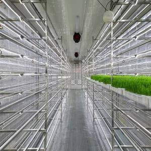 Container Inteligente de 40 pés para Agricultura Vertical, 8 Camadas, Cultivo Hidropônico de Forragem de Cevada, Plantio Automático de Fertilizantes - Product Image 4