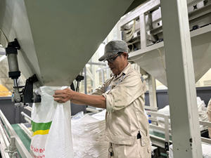 Arroz Jazmín de alta calidad seco fragante y delicioso arroz blanco de Vietnam | Contacto + 84-915 355 383 - Product Image 4