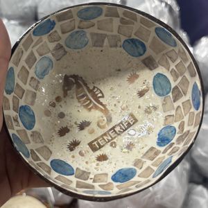 Tendencia Actual: Cuenco de Laca de Cáscara de Coco Natural al por Mayor, Directo de Fábrica en Tenerife, Cuenco de Nácar a Granel - Product Image 1