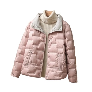 2024 nuevos hombres Casual cuello redondo de un solo pecho transpirable ecológico cierre de cremallera Puffer Parka prendas de vestir abrigo de pato blanco lona - Product Image 3