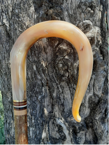 Bâton de marche en corne de buffle naturelle, poignée en corne de buffle, meilleure qualité, couleur naturelle - Product Image 4