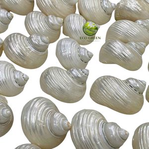 Lot de 12 anneaux de serviette en coquillages marins artisanaux pour décoration de table de mariage et de banquet - Product Image 4