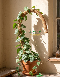 Poteau en fibre de coco flexible pour plantes Monstera, Philodendron, Pothos – Support naturel en fibre de bois – Vente en gros Eco2go Vietnam - Product Image 6