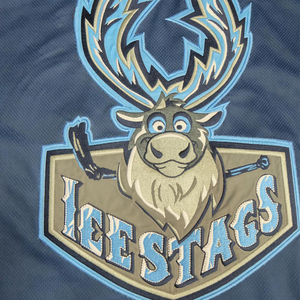 Jersey de Hockey sobre Hielo Personalizado para Equipo Verde, 100% Poliéster de Secado Rápido, Cuello en V, Hecho a Medida, Jerseys de Hockey Internacionales - Product Image 5