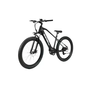 Bicicleta elétrica bafang com bateria removível, bicicleta elétrica 48V 10Ah 500W, novidade