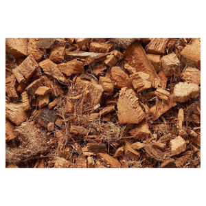 Suministro Confiable a Granel de Gránulos de Cáscara de Coco para Fábricas de Carbón y Operaciones de Procesamiento Industrial en Todo el Mundo - Product Image 2
