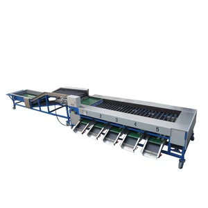 Full <b>Automatic</b> Roller Grading Line with Adjustable Speed for Various Fruits - Product Image 2