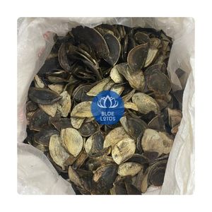 Coquille d'opercule de Murex écologique, très demandée |   Opécule d'escargot de mer 100% naturel brut en vrac, certifié BLUE LOTUS FARM BEIJING - Product Image 1