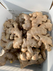 Jengibre congelado de calidad superior de Vietnam Exportación a granel de piezas de rodajas de verduras - Product Image 6