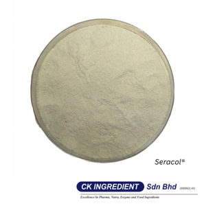 Premium High Quality Honeydew Juice Powder Halal OEM B2B <b>Best</b> Supplier Guarantee Top Sale Refreshing Melon Flavor Beverage Mix - Product Image 5