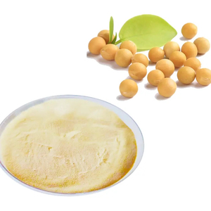 Poudre de concentré de protéines de soja de qualité alimentaire supérieure, qualité export, fournisseur en gros pour les acheteurs mondiaux - Product Image 1