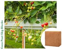 Meilleure qualité 5kg noix de coco tourbe bloc Pith briques pour plantes ornementales marché fiable plantation de cerises