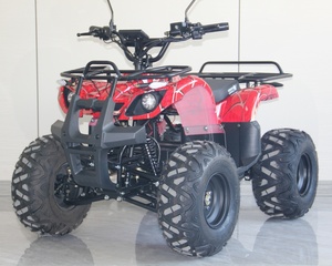 <span class=keywords><strong>Quad</strong></span> électrique tout-terrain pour jeunes <span class=keywords><strong>1000W</strong></span> <span class=keywords><strong>48V</strong></span> 20AH avec moteur à arbre de transmission et batterie, pneus tout-terrain - Product Image 2
