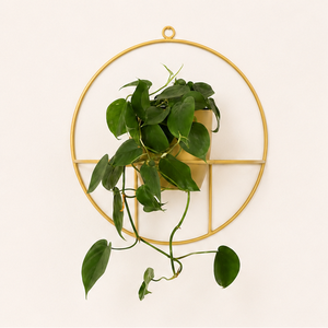 Pot de fleurs mural suspendu en métal de qualité supérieure, pot de fleurs ovale en fer doré de luxe pour la décoration intérieure, support de plantes géométrique - Product Image 6