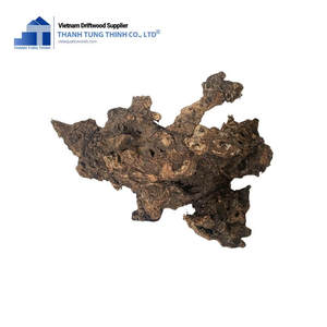 Decoraciones de Madera Flotante Natural Thanh Tung Thinh para Acuarios, Forma Irregular, Adorno Ecológico para Peceras, Origen Vietnam - Product Image 2