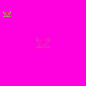 Set de Bandas de Resistencia para Entrenamiento de Cadera para Mujeres, Bandas Elásticas Anchas Antideslizantes para Ejercicios de Glúteos, de Poliéster Resistente - Product Image 4