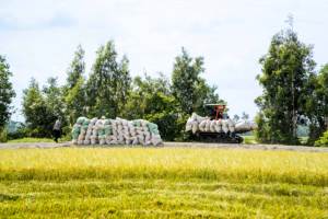 รถแทรกเตอร์ตีนตะขาบเกษตรกรรม 2026 HOGICO 80VN/TURBO 80 แรงม้า 3-in-1 ระบบเทอร์โบ กำลังสูง สำหรับงานหนัก อุปกรณ์ฟาร์ม ทนทาน - Product Image 6