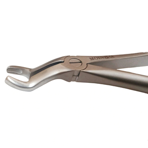 Pinzas de Extracción Dental para Molar Superior, Figura 67A, Acero Inoxidable, Pinzas Quirúrgicas Dentales para Extracción de Dientes - Product Image 6