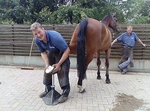 Soporte Ajustable de Alta Resistencia para Pezuñas de Caballo, Soporte Metálico para Herrador con Poste de Cuna para Recorte, Zapatería y Cuidado de Pezuñas, Certificado CE ISO - Product Image 2