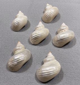 Servilletero de concha de mar hecho de conchas brillantes para Bodas de lujo, configuración de Tablescape, artesanía costera vietnamita - Product Image 3