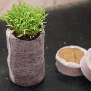 Pastilles/Disques/Bouchons de fibre de coco 100 % biologiques pour une germination facile des graines et un développement précoce des plantes - Exportateur Inde - Product Image 3