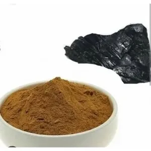 Extrait de Shilajit de qualité supérieure, poudre naturelle riche en minéraux, complément ayurvédique des Himalayas pour booster l'énergie et la détoxification - Product Image 2