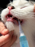Stylo de nettoyage dentaire multifonctionnel pour animaux de compagnie en coton écologique Carbawl, pour chiens et chats - Éliminateur de tartre et de plaque, haleine fraîche, élimination des taches
