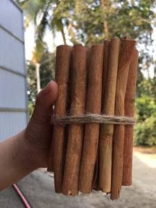 อบเชยแท่งเวียดนาม แบบแยกก้าน อบเชยคาเซียแห้ง อบเชยเมลิน่าแห้ง - Product Image 2