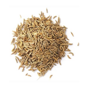 Semillas de comino indio Premium Nuevo cultivo Procesamiento horneado Fábrica de especias puras Suministro al por mayor de estilo seco de bajo costo - Product Image 4