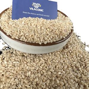 ข้าวเมล็ดยาวสีน้ำตาลจาปินิก้าข้าวเมล็ดยาวโดย Jane เป็นมิตรกับสิ่งแวดล้อมบรรจุภัณฑ์แบบนอนจีเอ็มโอแป้งต่ำโภชนาการสูง - Product Image 1